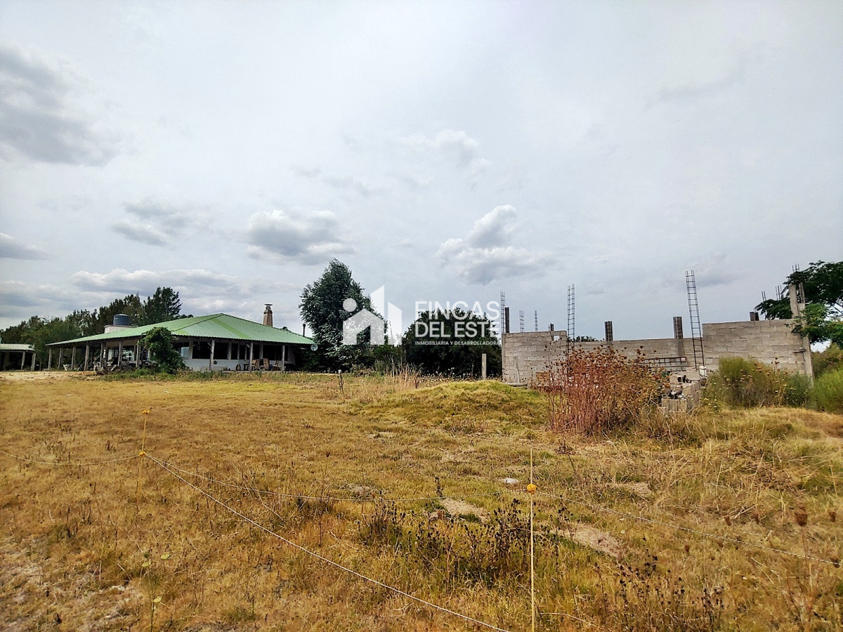 Chacra ID.1791/Chacra-en-Ruta-12 - Chacra en Ruta 12