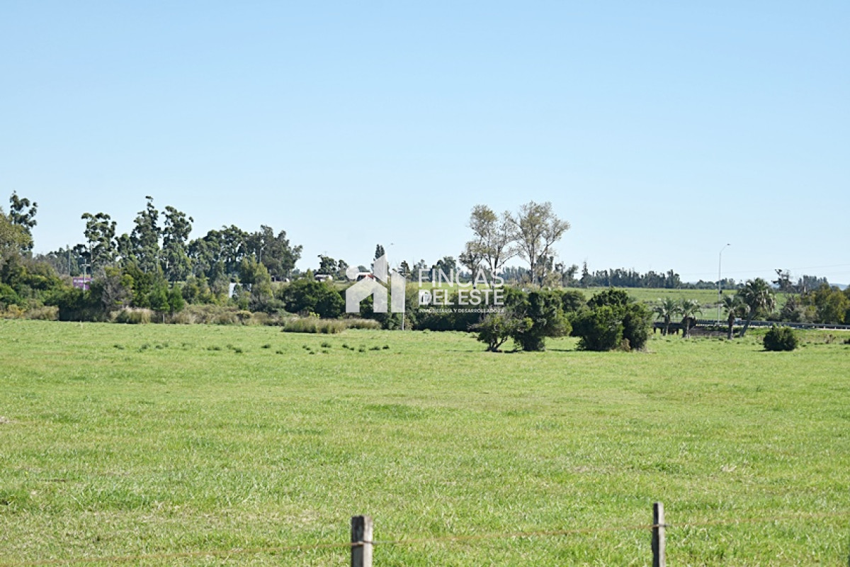 Chacra ID.727/CHACRA-SAN-CARLOS-RUTA-9 - CHACRA SAN CARLOS RUTA 9