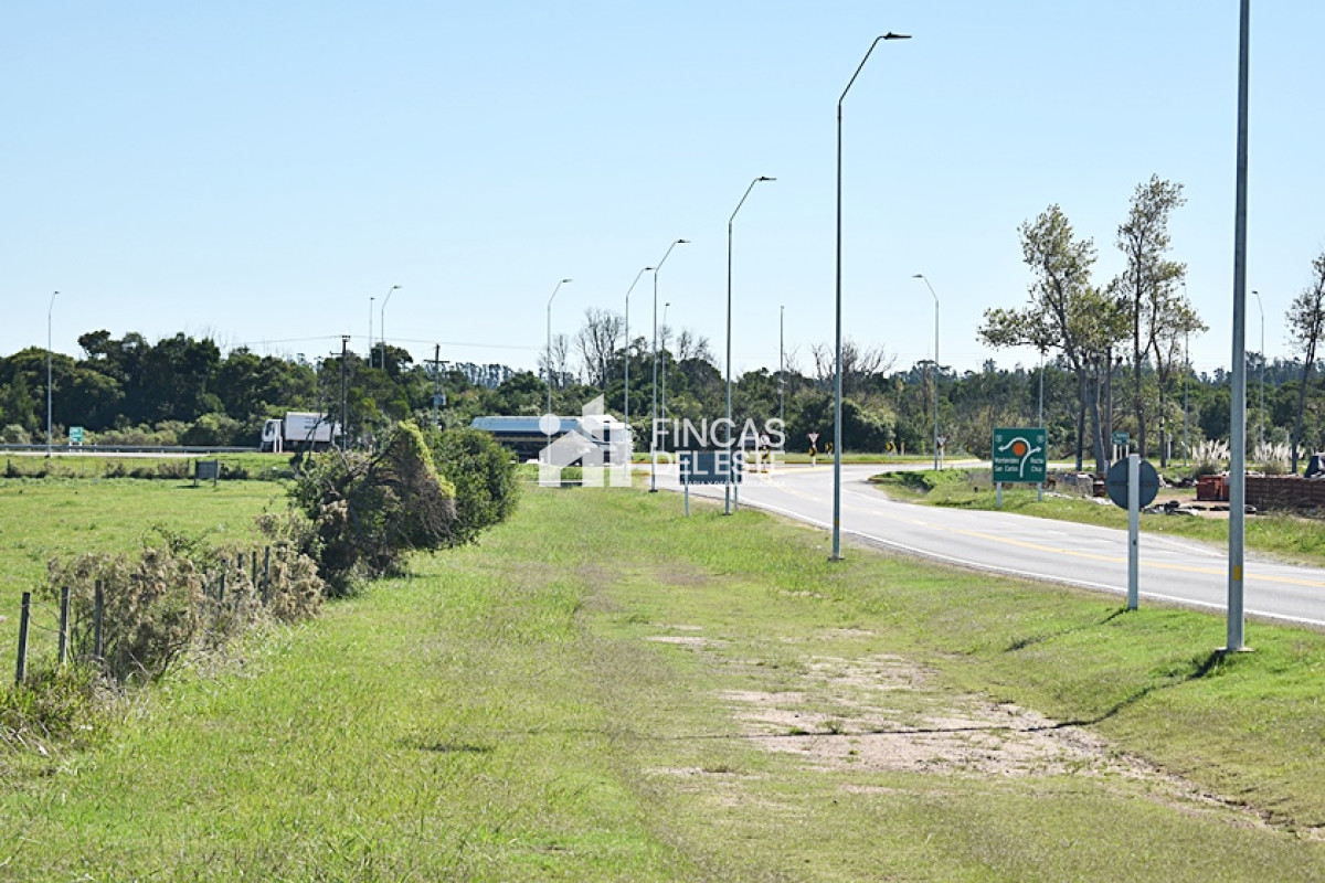 Chacra ID.727/CHACRA-SAN-CARLOS-RUTA-9 - CHACRA SAN CARLOS RUTA 9