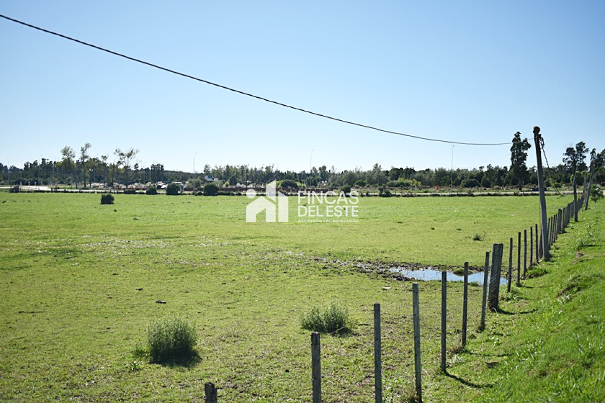 Chacra ID.727/CHACRA-SAN-CARLOS-RUTA-9 - CHACRA SAN CARLOS RUTA 9