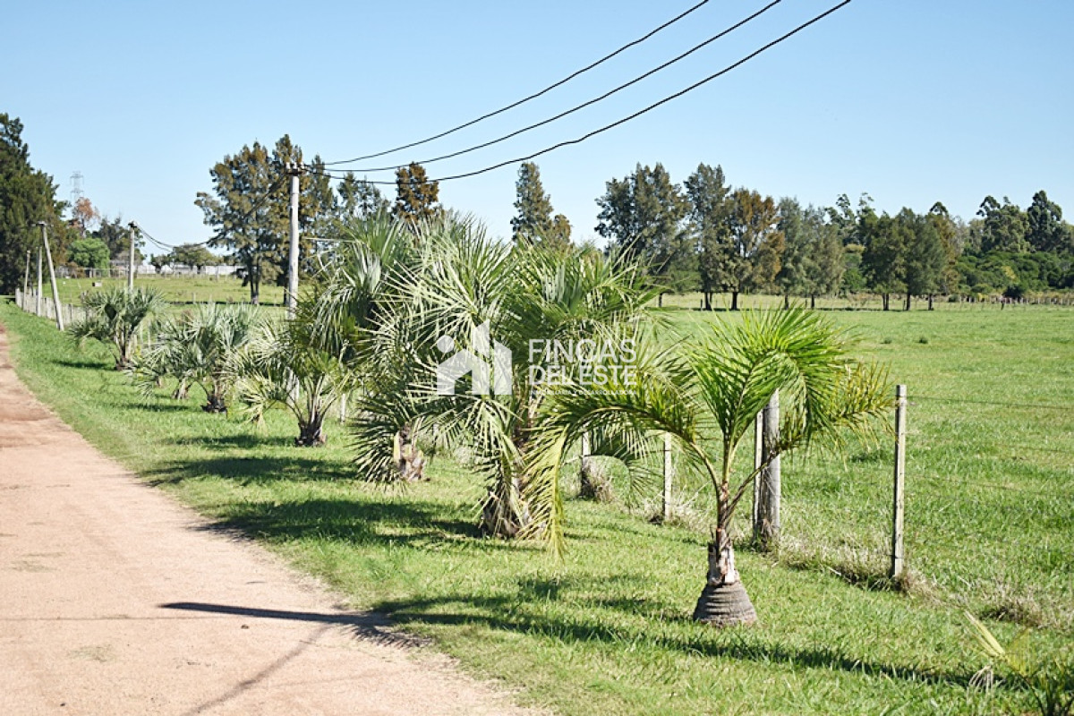 Chacra ID.727/CHACRA-SAN-CARLOS-RUTA-9 - CHACRA SAN CARLOS RUTA 9