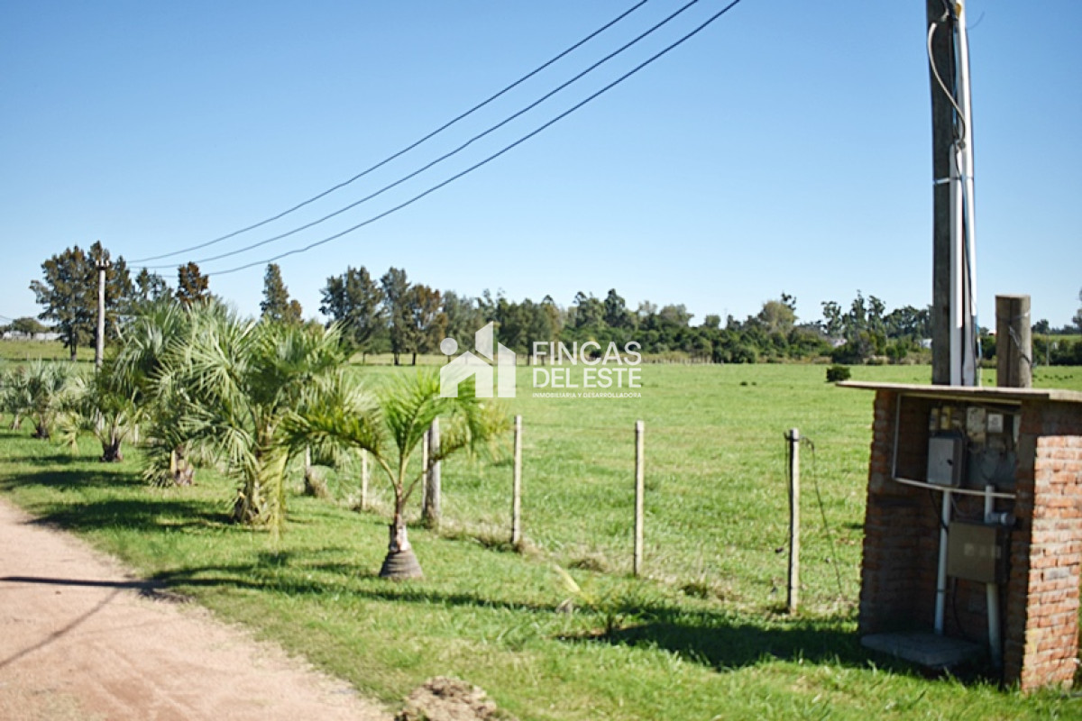 Chacra ID.727/CHACRA-SAN-CARLOS-RUTA-9 - CHACRA SAN CARLOS RUTA 9