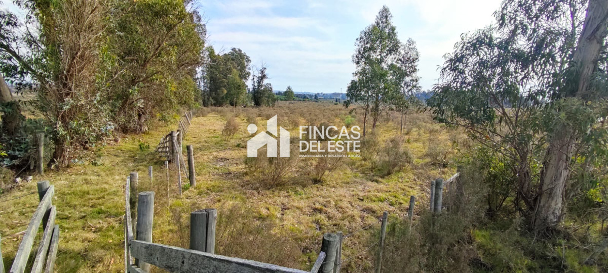Chacra ID.1577/CHACRA-5Ha- - CHACRA  5Ha 