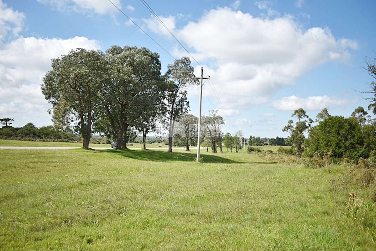 Chacra ID.706/CHACRA-SAN-CARLOR- - CHACRA  SAN CARLOR 