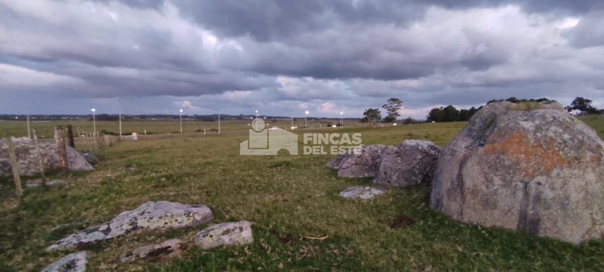 Chacra ID.1321/Chacra-de-5-Hectáreas-sobre-Ruta-39- - Chacra de 5 Hectáreas sobre Ruta 39 