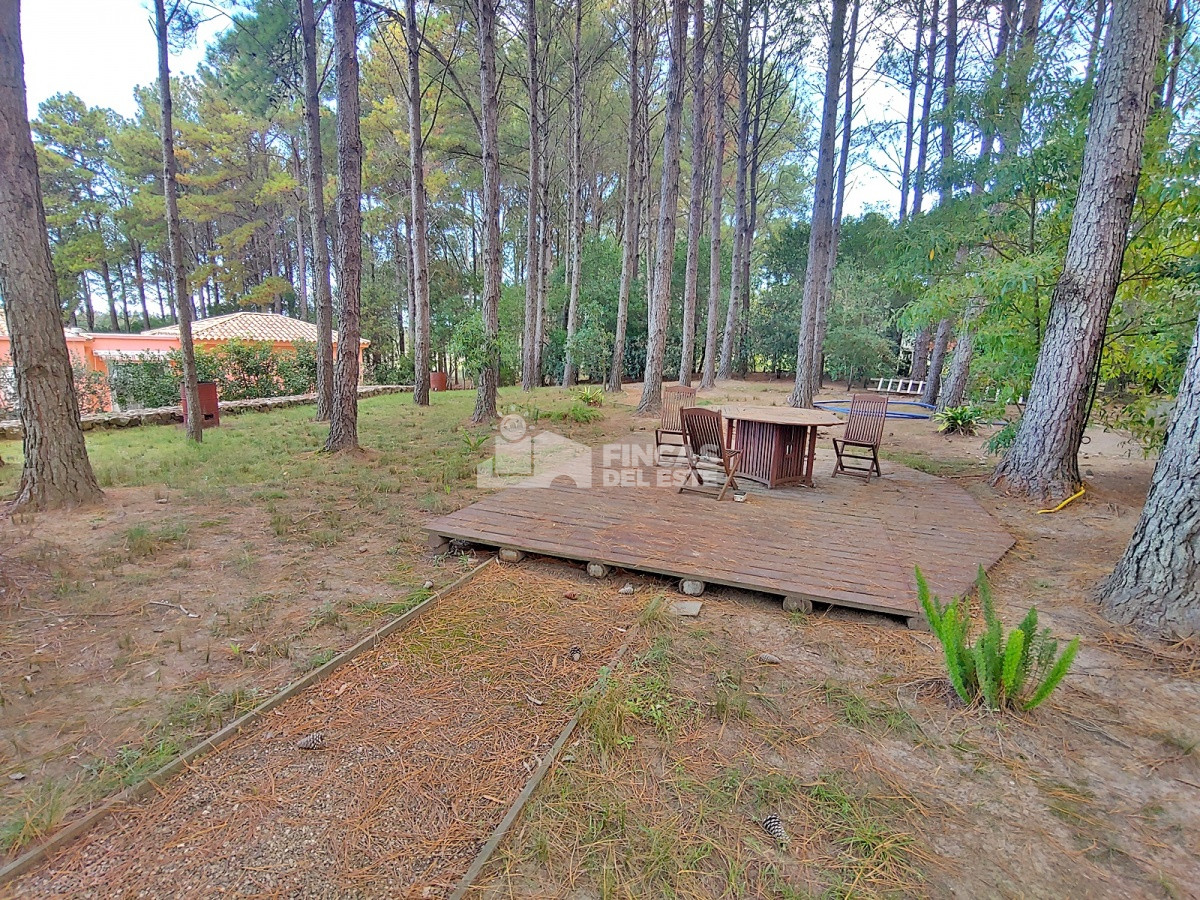 Chacra ID.1524/Chacra-en-Laguna-del-Diario- - Chacra en Laguna del Diario 