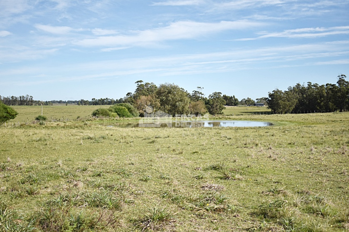 Chacra ID.769/chacra-5-ha--sobre-ruta-9-José-Ignacio- - chacra 5 ha   sobre ruta 9 José Ignacio 