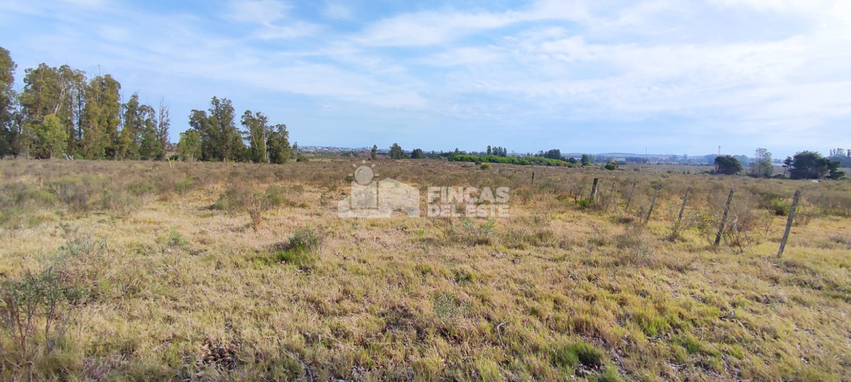 Chacra ID.1577/CHACRA-5Ha- - CHACRA  5Ha 