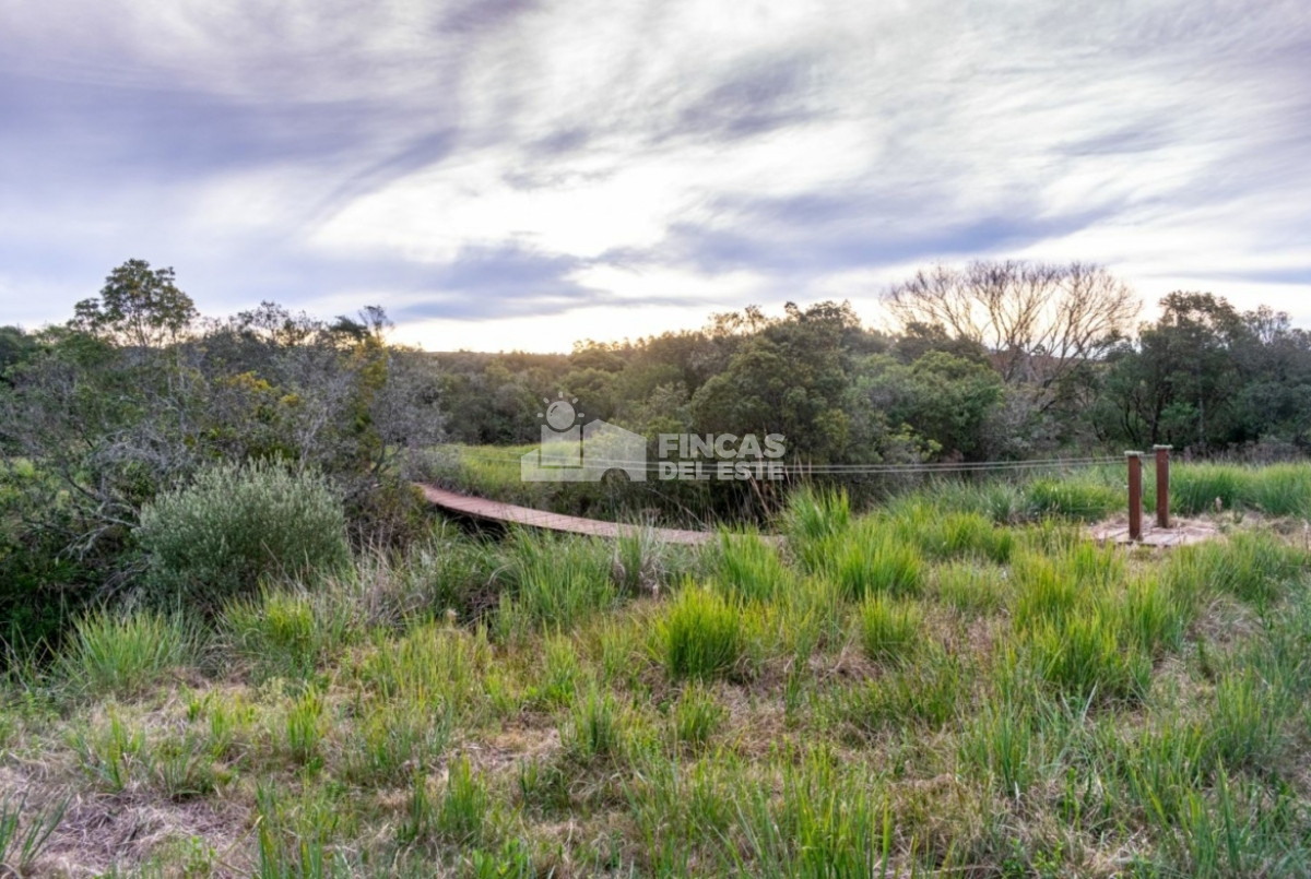Chacra ID.1930/Chacra-en-Pueblo-Edén!! - Chacra en Pueblo Edén!!