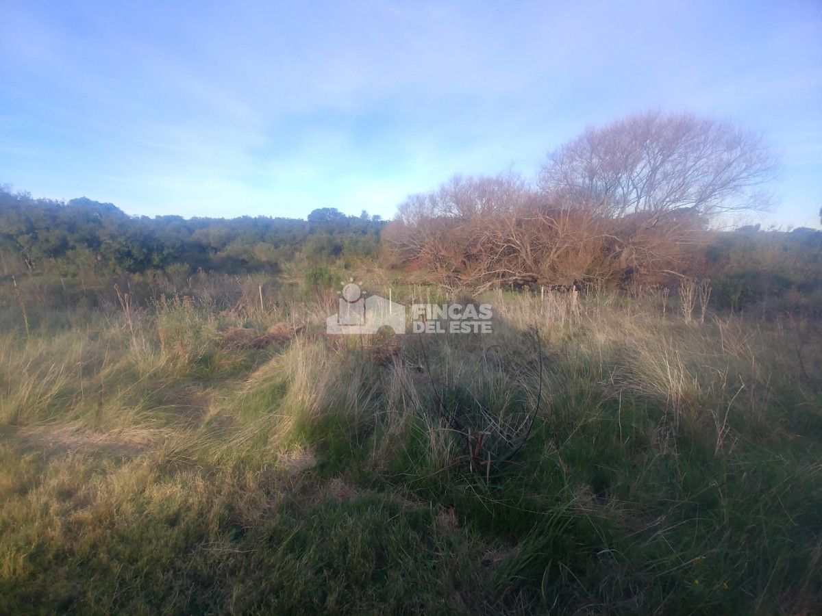 Chacra ID.442/Chacra-en-Piriapolis - Chacra en Piriapolis
