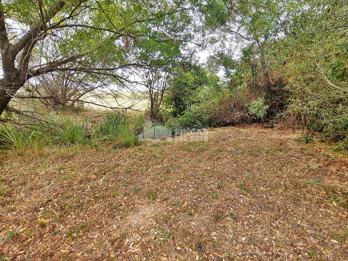 Chacra ID.1791/Chacra-en-Ruta-12 - Chacra en Ruta 12