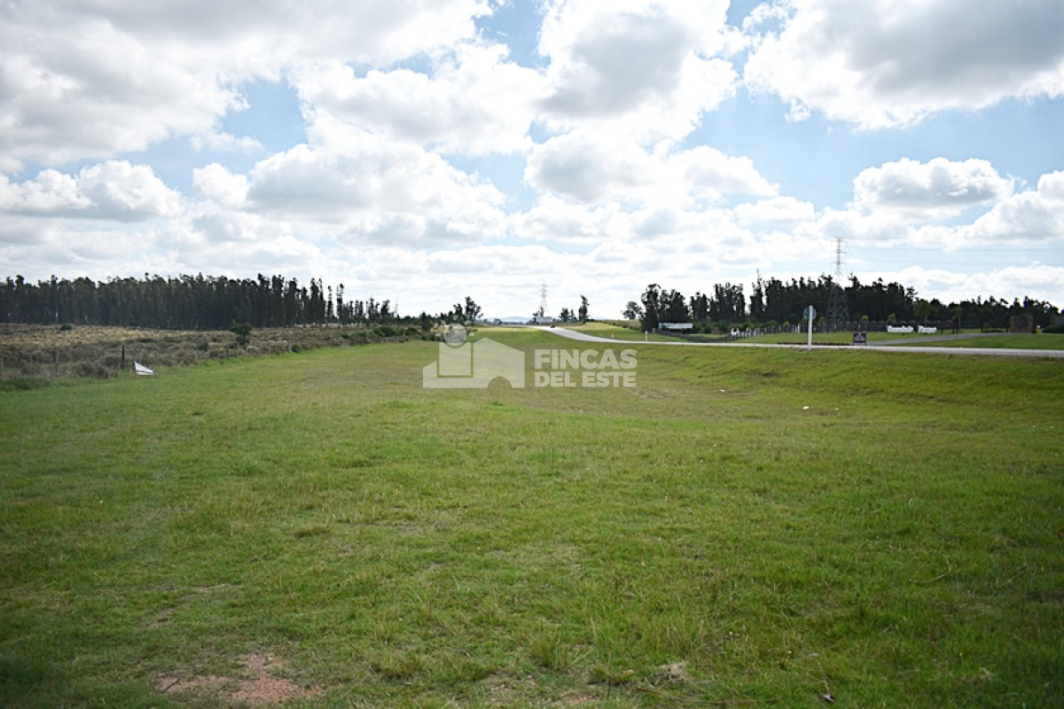 Chacra ID.709/CHACRA-SAN-CARLOS- - CHACRA SAN CARLOS 