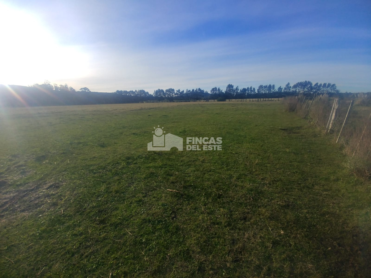Chacra ID.442/Chacra-en-Piriapolis - Chacra en Piriapolis