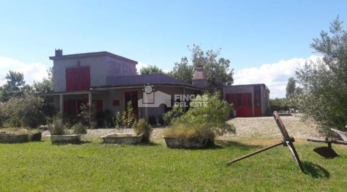 Chacra ID.1926/Hermosa-Chacra-en-San-Carlos - Hermosa Chacra en San Carlos