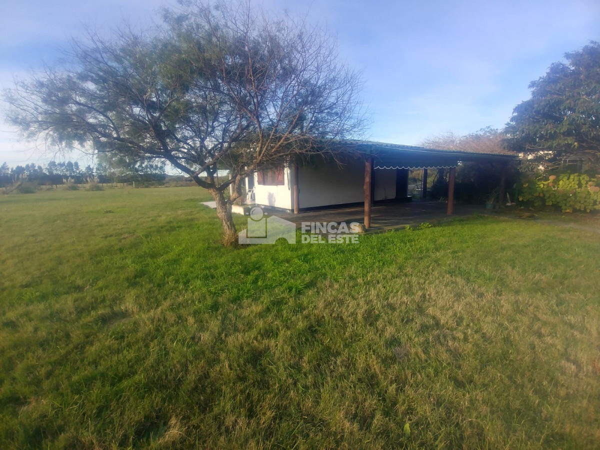 Chacra ID.442/Chacra-en-Piriapolis - Chacra en Piriapolis