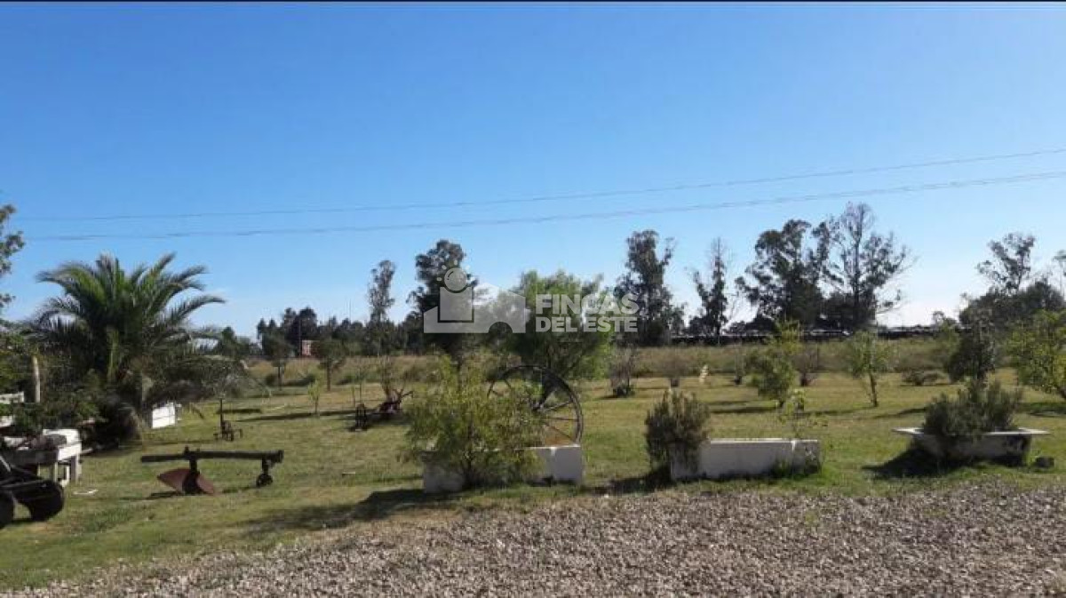 Chacra ID.1926/Hermosa-Chacra-en-San-Carlos - Hermosa Chacra en San Carlos