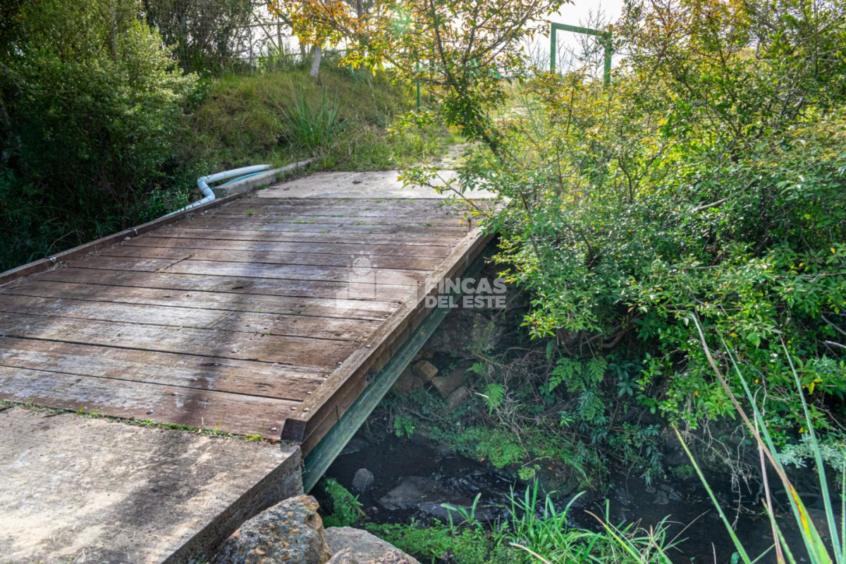 Chacra ID.1930/Chacra-en-Pueblo-Edén!! - Chacra en Pueblo Edén!!