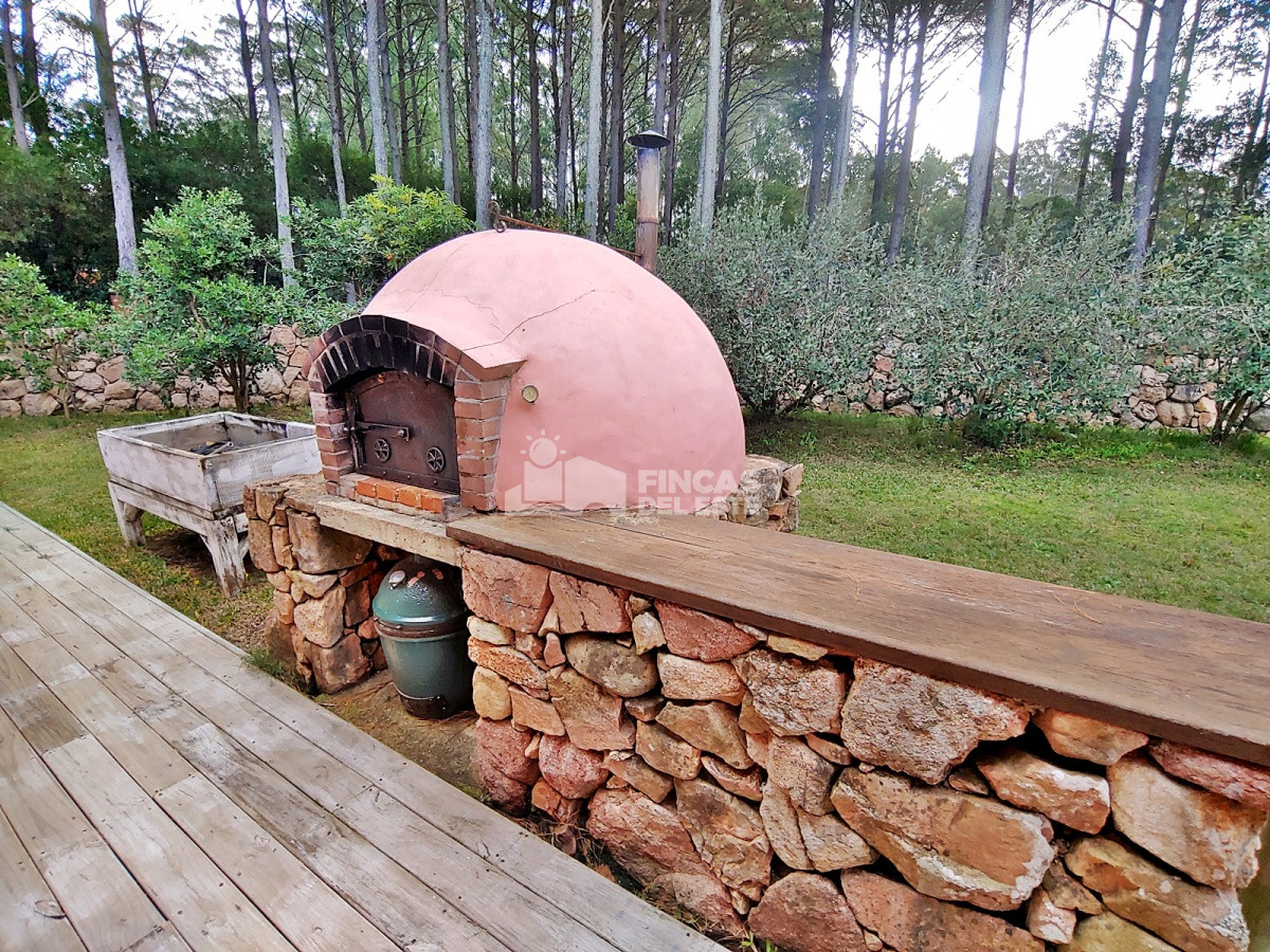 Chacra ID.1524/Chacra-en-Laguna-del-Diario- - Chacra en Laguna del Diario 