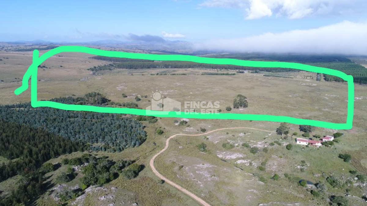 Pueblo Eden - GoPunta - Portal Inmobiliario de Punta del Este - Maldonado