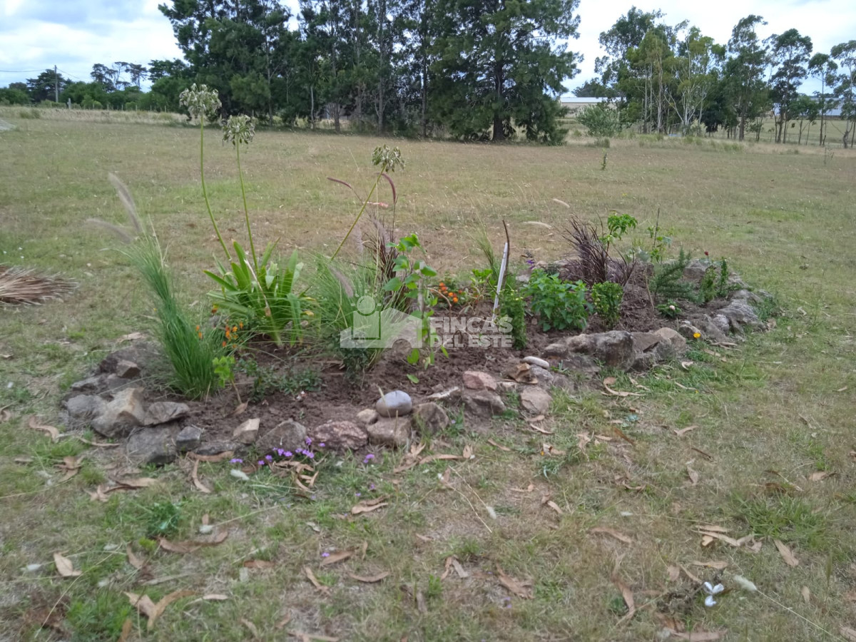 Chacra ID.689/Chacra-de-cinco-hectáreas - Chacra de cinco hectáreas