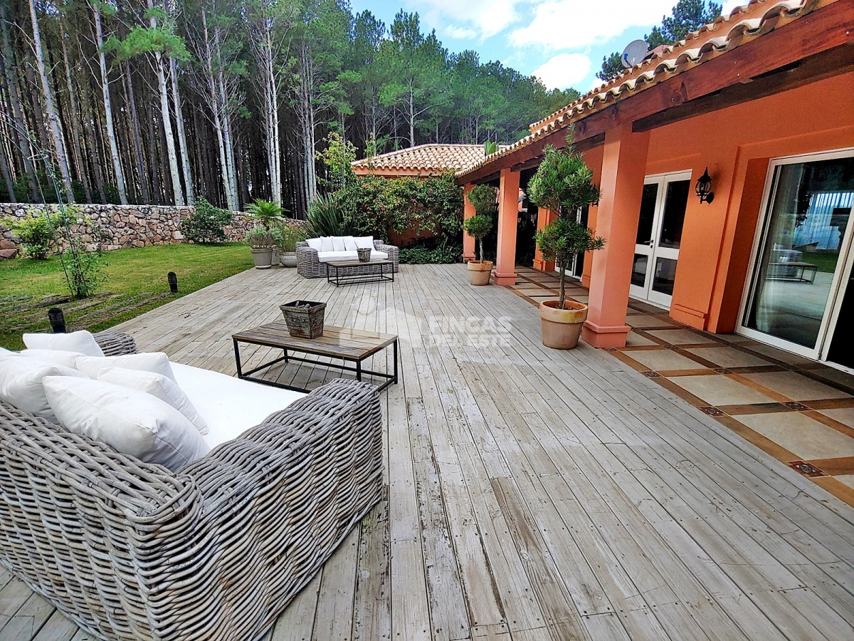 Chacra ID.1524/Chacra-en-Laguna-del-Diario- - Chacra en Laguna del Diario 