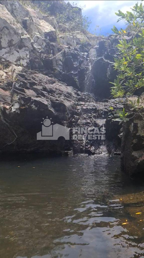 Chacra ID.1201/FRACCIONAMIENTO-Zona:-Ruta-109-Arroyo-Valdivias- - FRACCIONAMIENTO Zona: Ruta 109 Arroyo Valdivias 