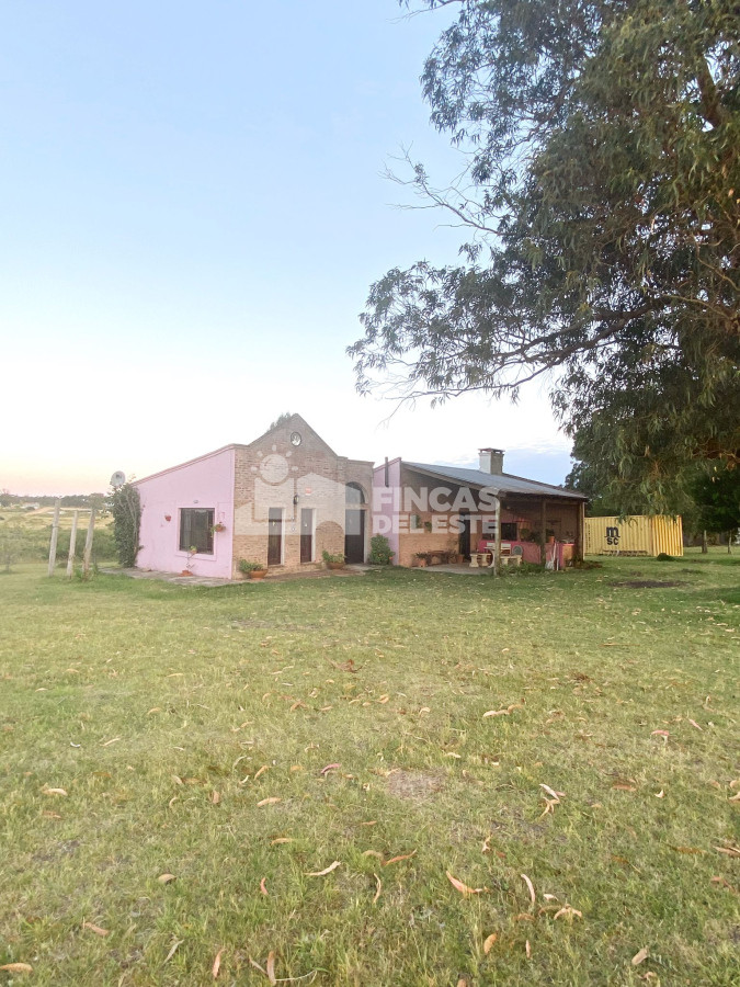 Chacra ID.689/Chacra-de-cinco-hectáreas - Chacra de cinco hectáreas