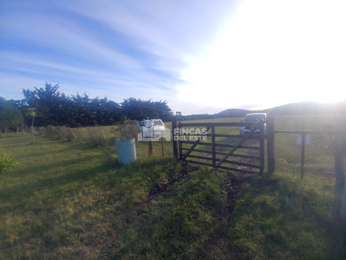 Chacra ID.442/Chacra-en-Piriapolis - Chacra en Piriapolis