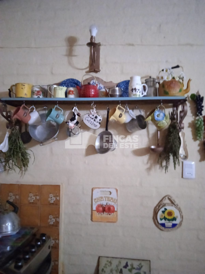 Chacra ID.689/Chacra-de-cinco-hectáreas - Chacra de cinco hectáreas