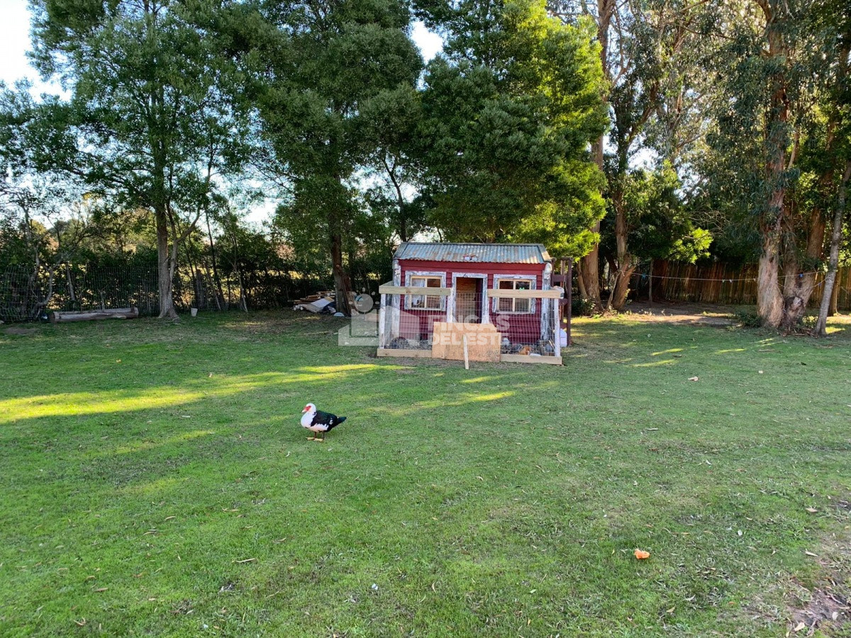 Chacra ID.1610/Chacra-con-casa - Chacra con casa