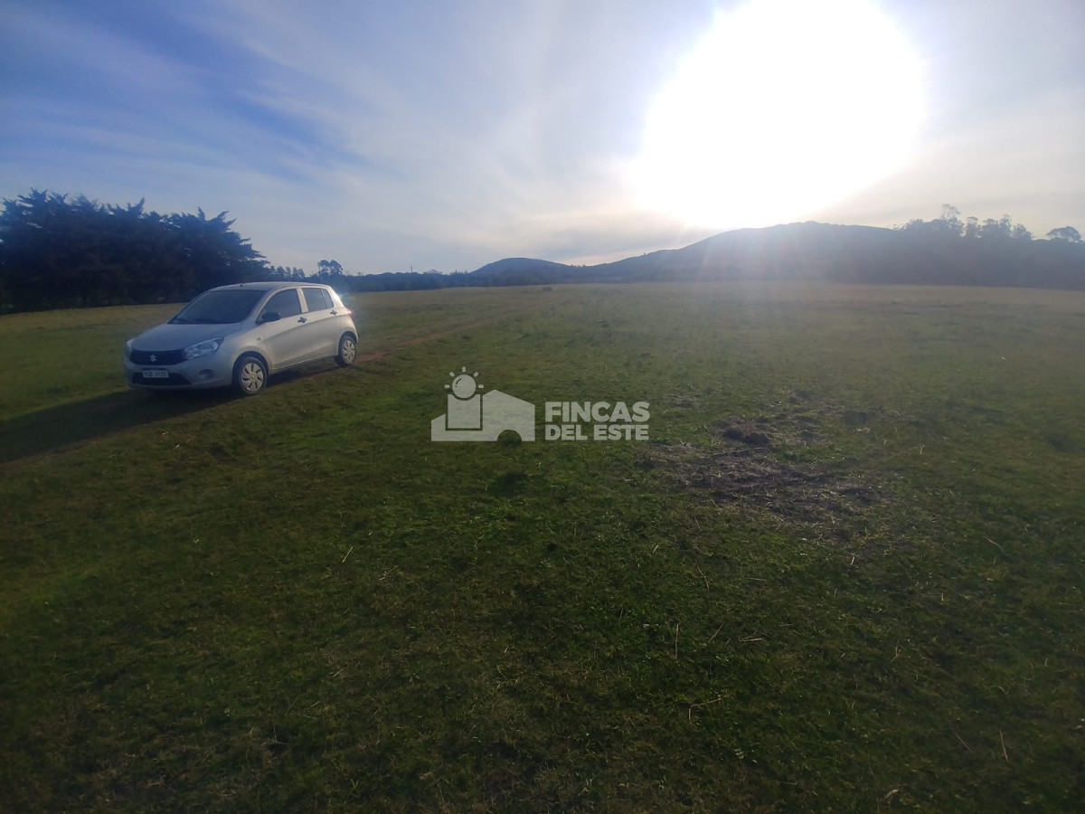 Chacra ID.442/Chacra-en-Piriapolis - Chacra en Piriapolis