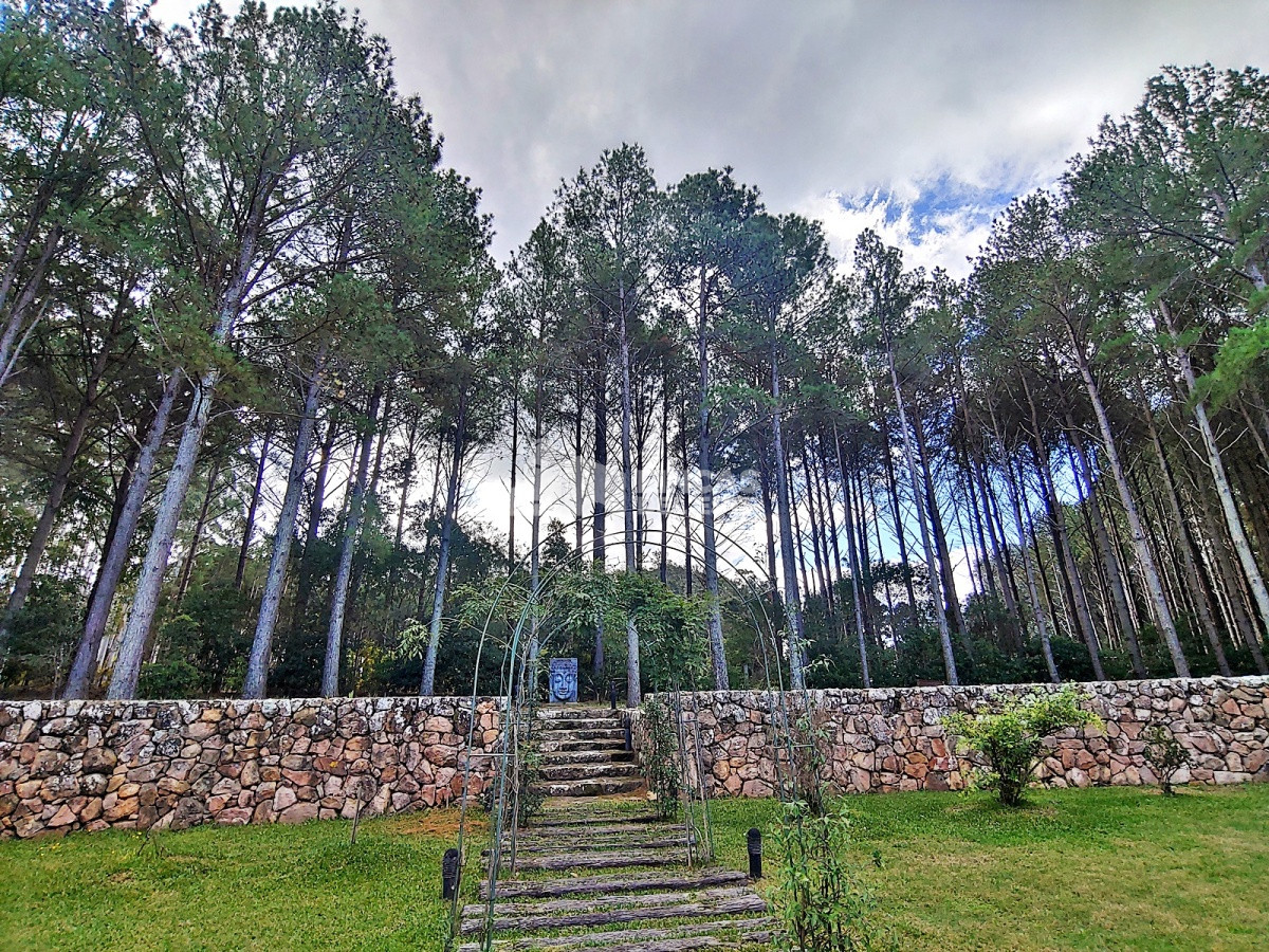 Chacra ID.1524/Chacra-en-Laguna-del-Diario- - Chacra en Laguna del Diario 