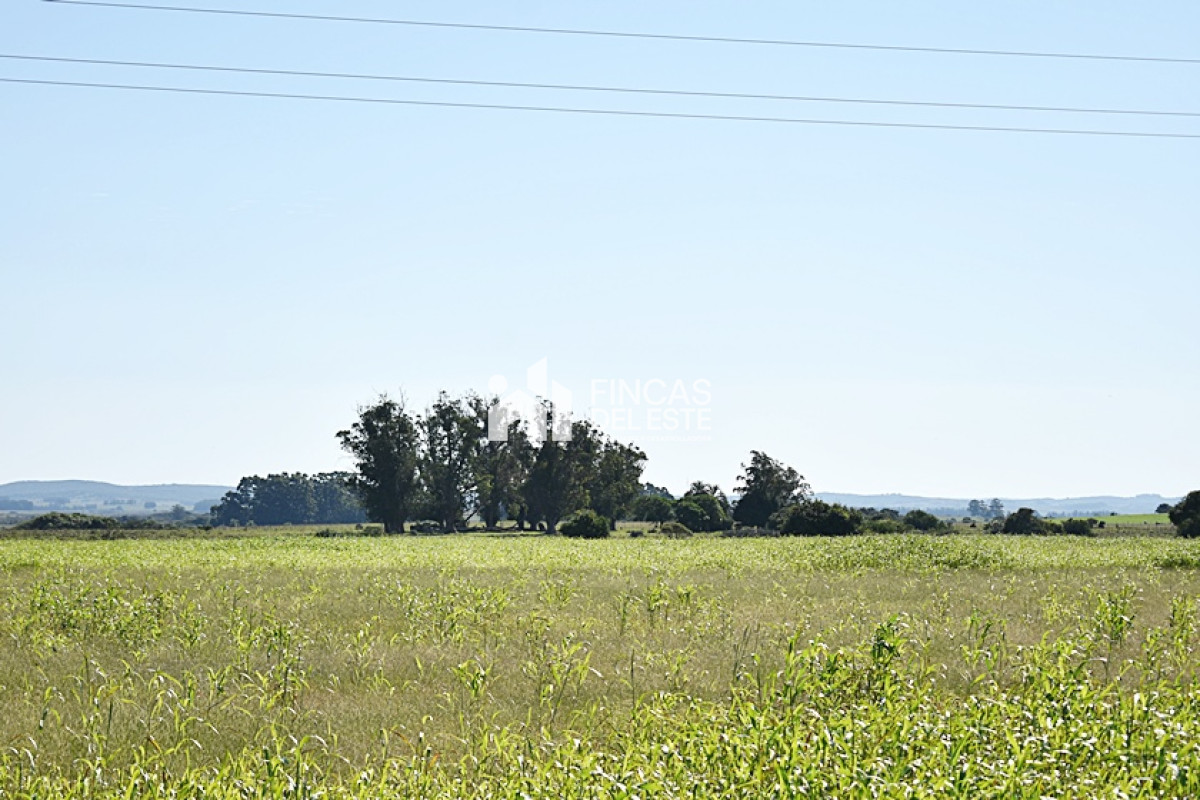 Campo Ref.757/36-ha.-sobre-ruta-9 - 36 ha. sobre ruta 9