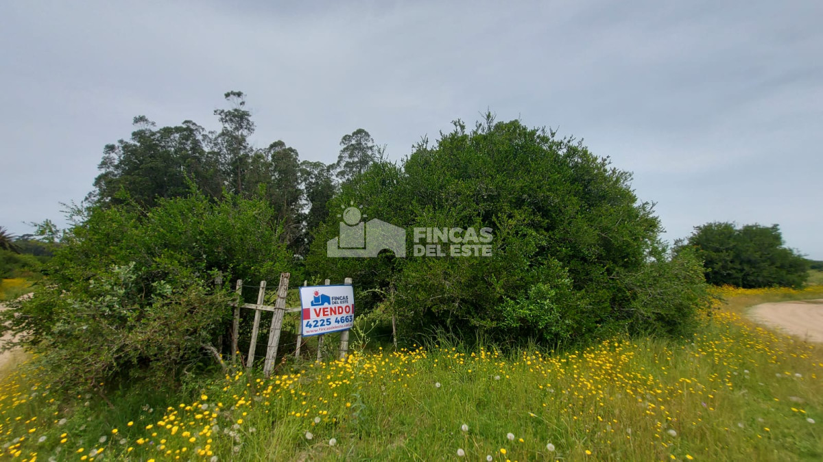 Campo en pueblo Garzón !! - GoPunta - Portal Inmobiliario de Punta del Este - Maldonado