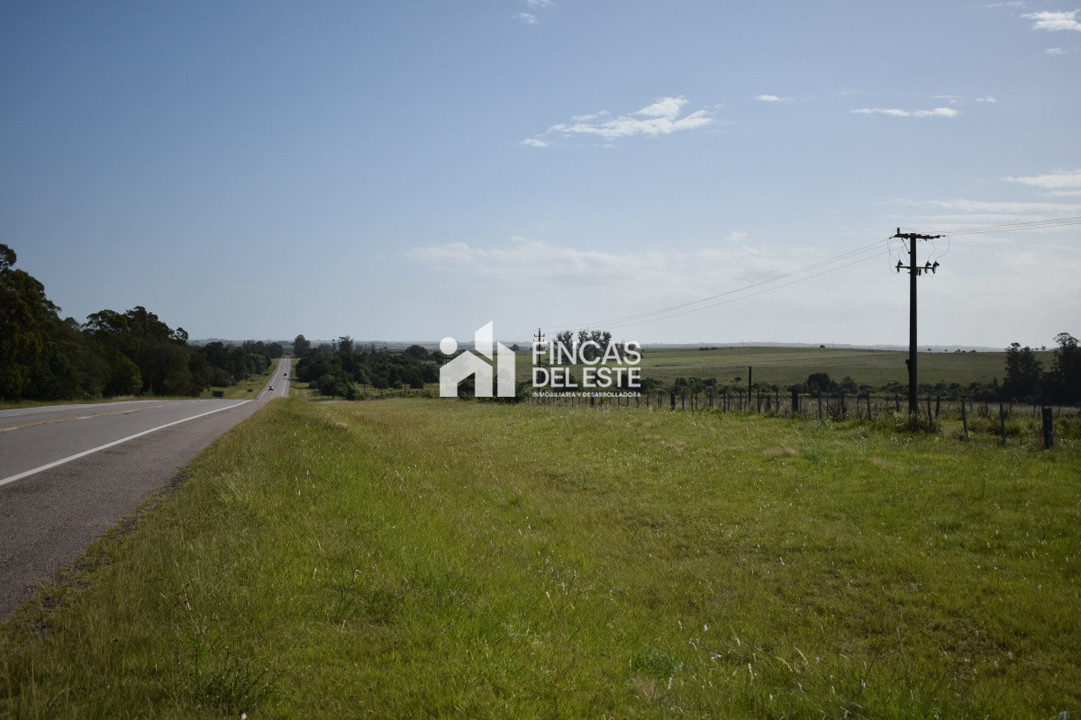 Campo Ref.663/Campo-Ruta-9-SAN-CARLOS- - Campo Ruta 9  SAN CARLOS 