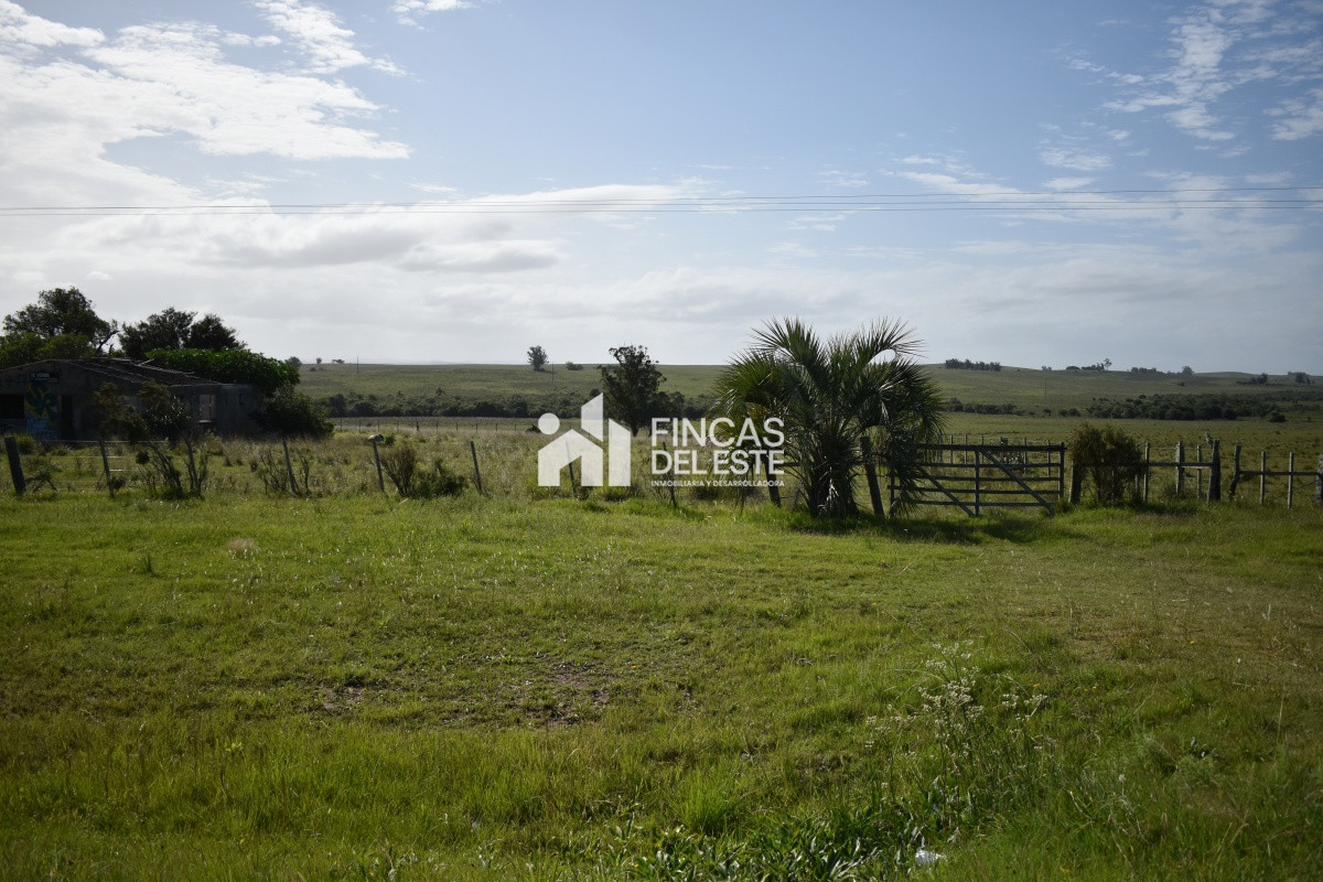 Campo Ruta 9  SAN CARLOS  - FDE663P