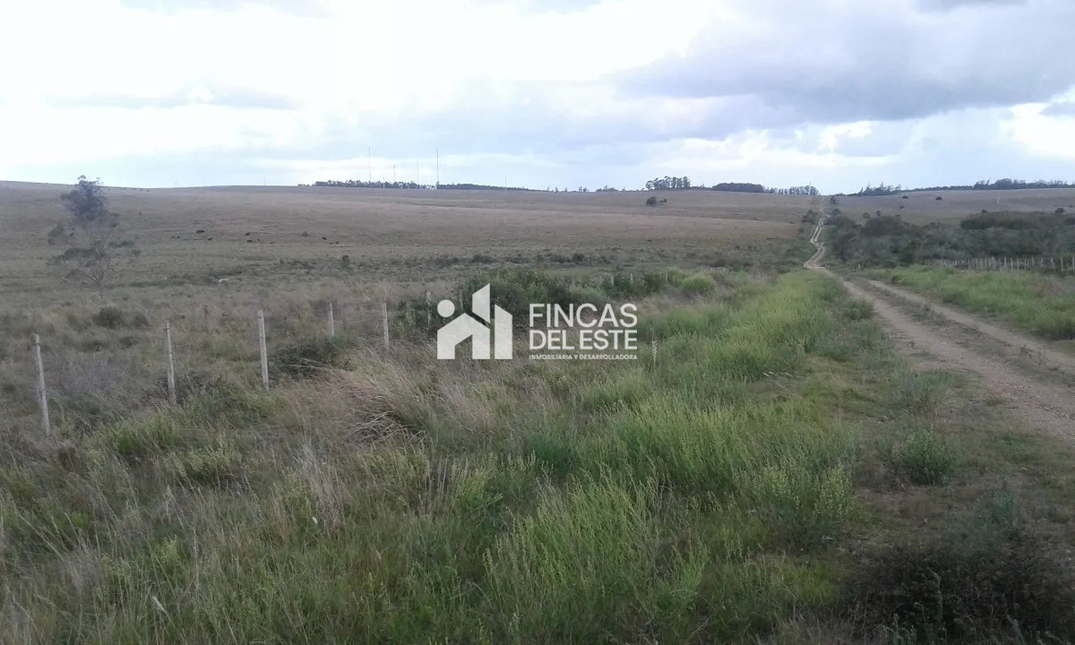 Campo Ref.663/Campo-Ruta-9-SAN-CARLOS- - Campo Ruta 9  SAN CARLOS 