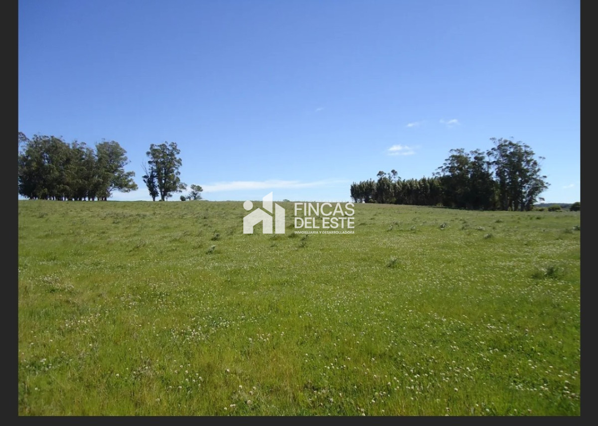Campo Ref.583/Próximo-a-arroyo-Garzón - Próximo a arroyo Garzón