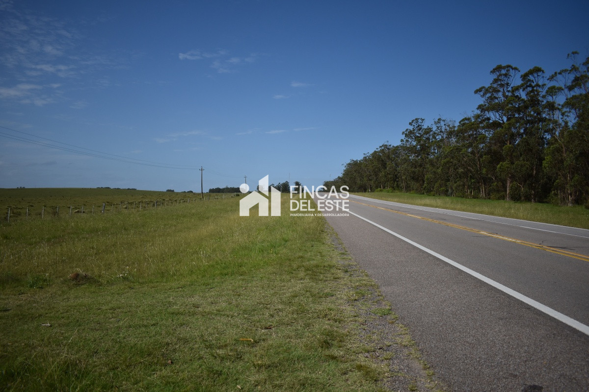 Campo Ref.663/Campo-Ruta-9-SAN-CARLOS- - Campo Ruta 9  SAN CARLOS 