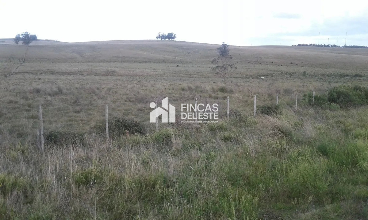 Campo Ref.663/Campo-Ruta-9-SAN-CARLOS- - Campo Ruta 9  SAN CARLOS 