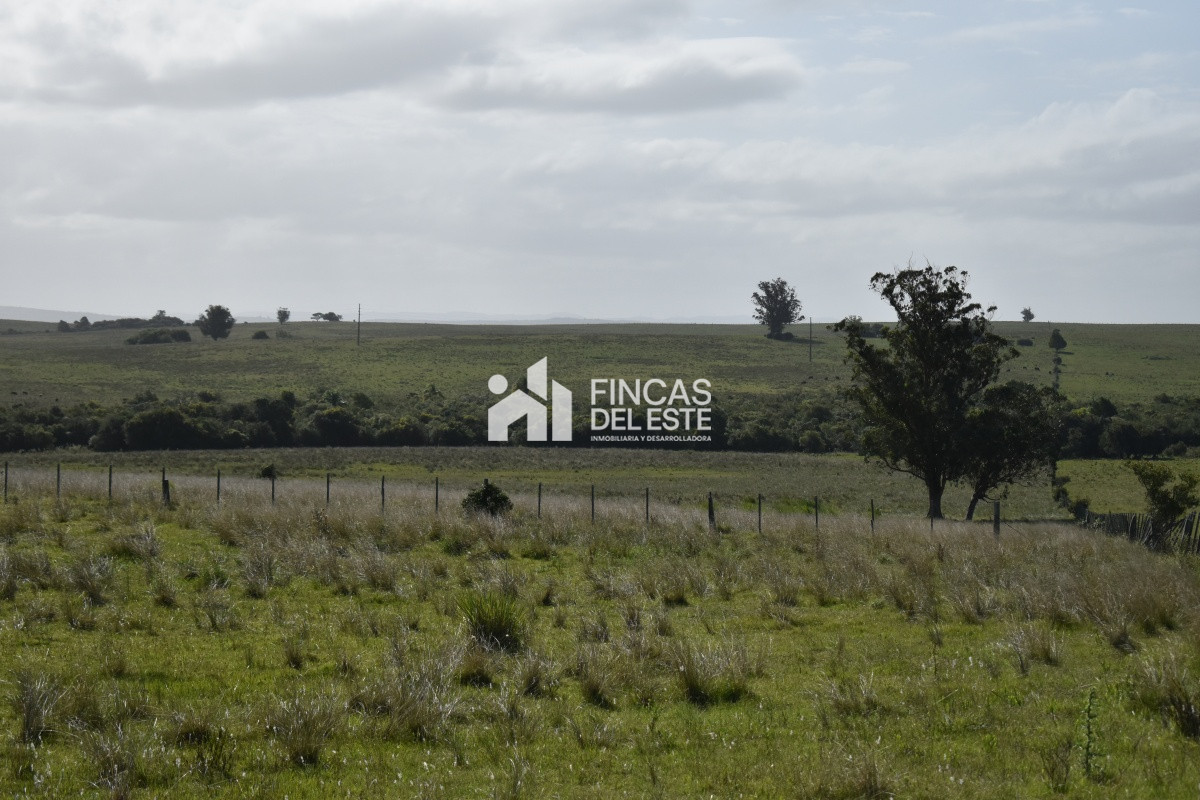 Campo Ref.663/Campo-Ruta-9-SAN-CARLOS- - Campo Ruta 9  SAN CARLOS 