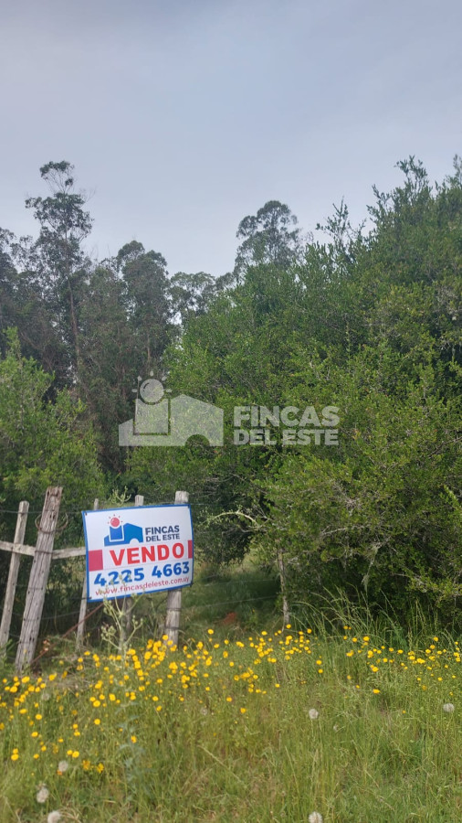 Campo en pueblo Garzón !! - GoPunta - Portal Inmobiliario de Punta del Este - Maldonado