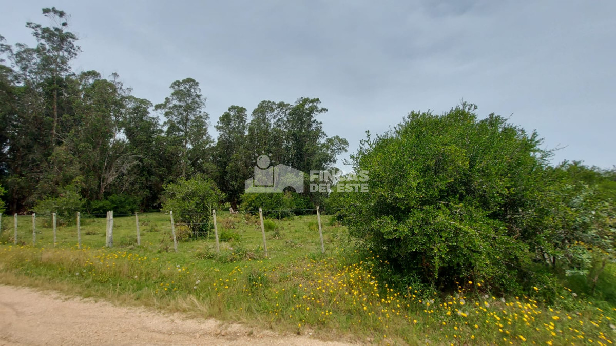 Campo en pueblo Garzón !! - GoPunta - Portal Inmobiliario de Punta del Este - Maldonado