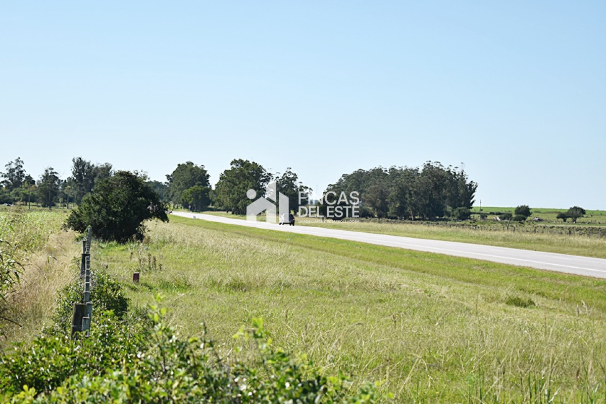 Campo Ref.757/36-ha.-sobre-ruta-9 - 36 ha. sobre ruta 9
