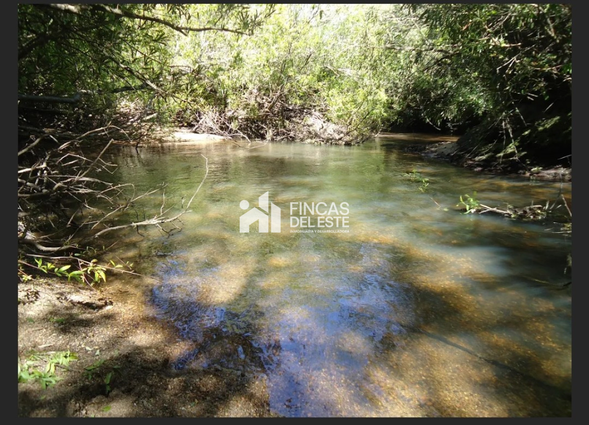Campo Ref.583/Próximo-a-arroyo-Garzón - Próximo a arroyo Garzón