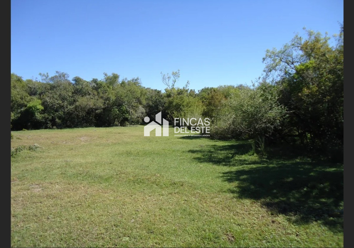 Campo Ref.583/Próximo-a-arroyo-Garzón - Próximo a arroyo Garzón