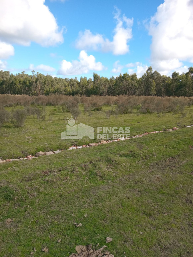Gran campo en venta (22 Hectáreas)  - FDE2845P