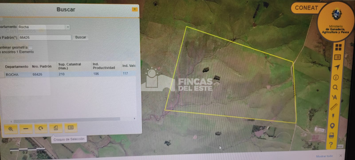 Campo Ref.1148/CAPO-210-Ha-Rocha-ruta-15-La-Paloma-AGRICOLA--GANADERO- - CAPO 210 Ha  Rocha ruta 15  La Paloma  AGRICOLA - GANADERO 