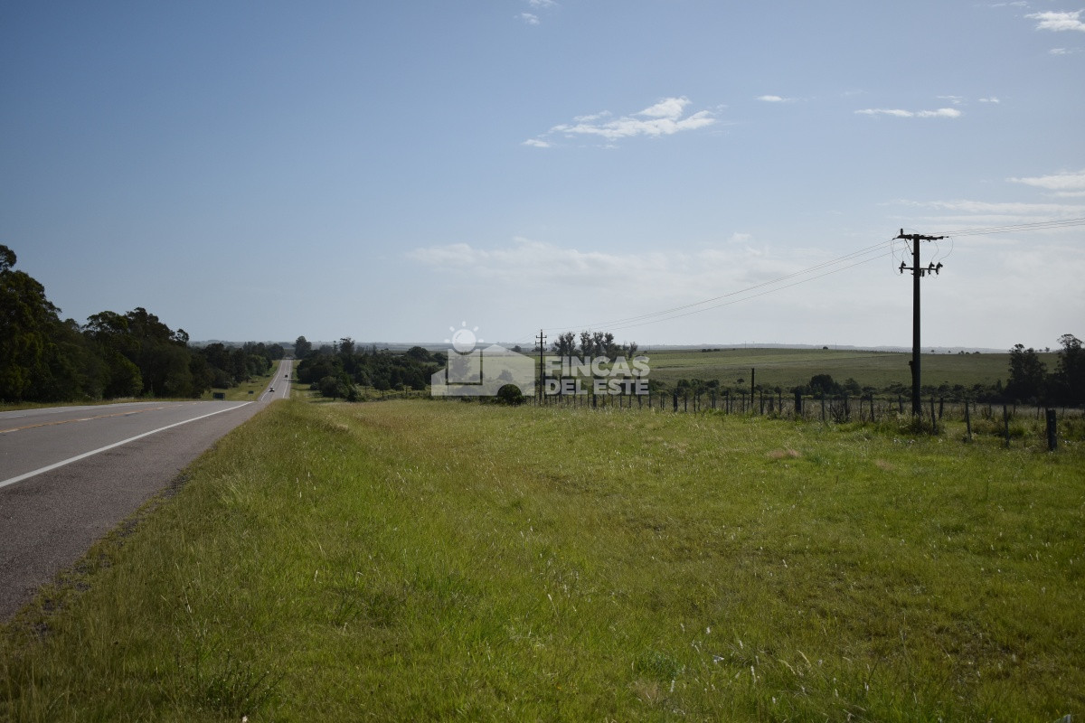 Campo Ref.663/Campo-Ruta-9-SAN-CARLOS- - Campo Ruta 9  SAN CARLOS 