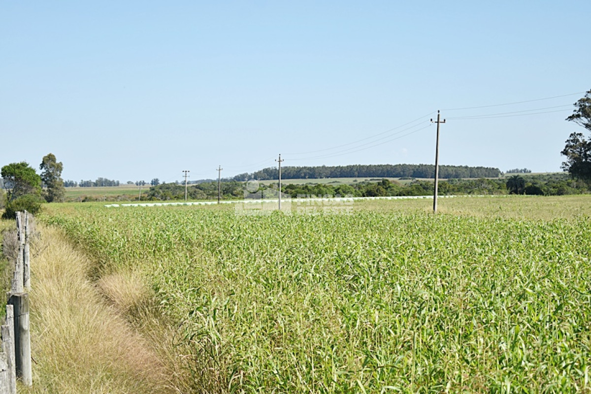 Campo Ref.757/36-ha.-sobre-ruta-9 - 36 ha. sobre ruta 9